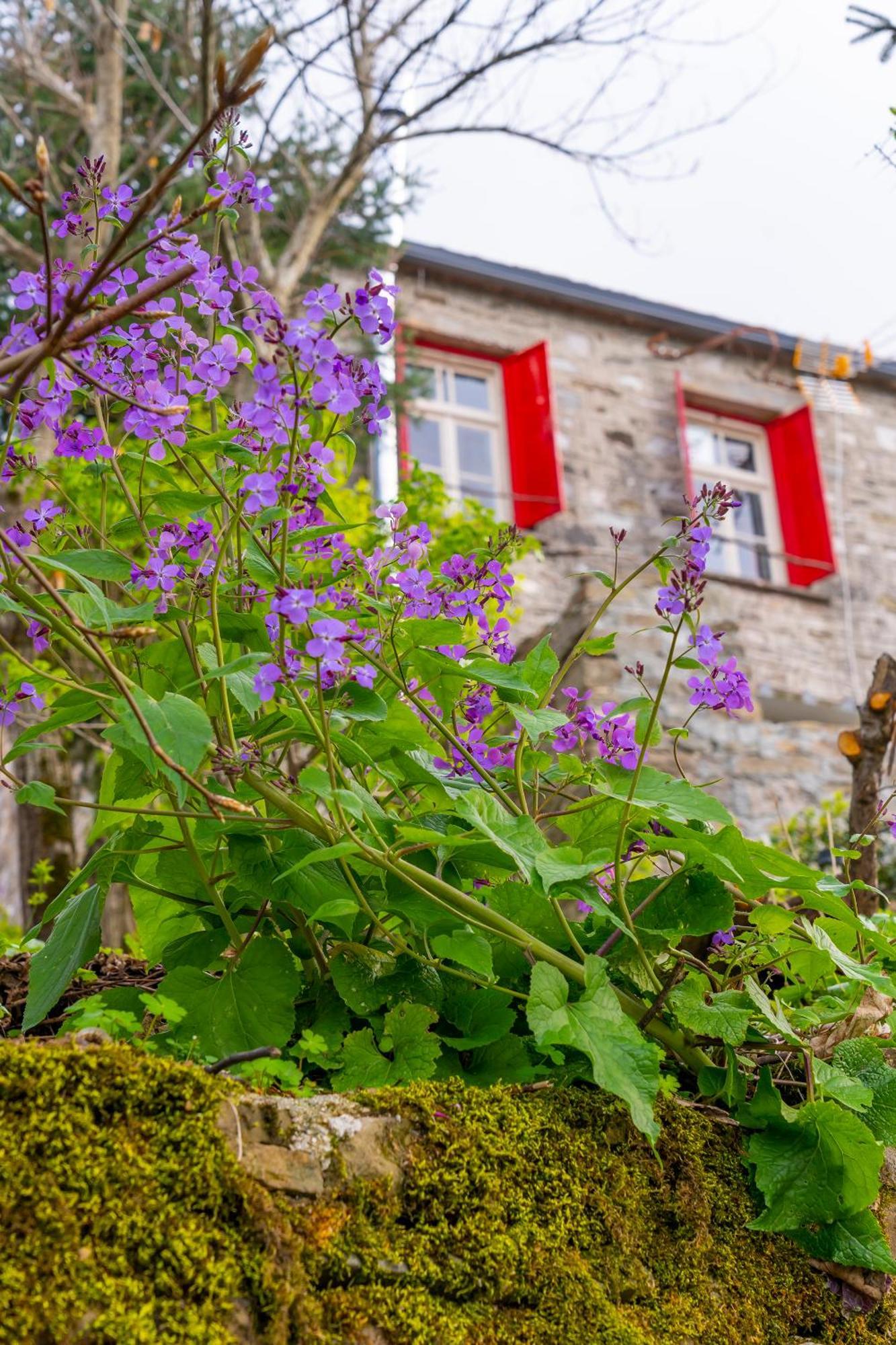 Hotel Shamrock Elati Retreats Elati (Ioannina)